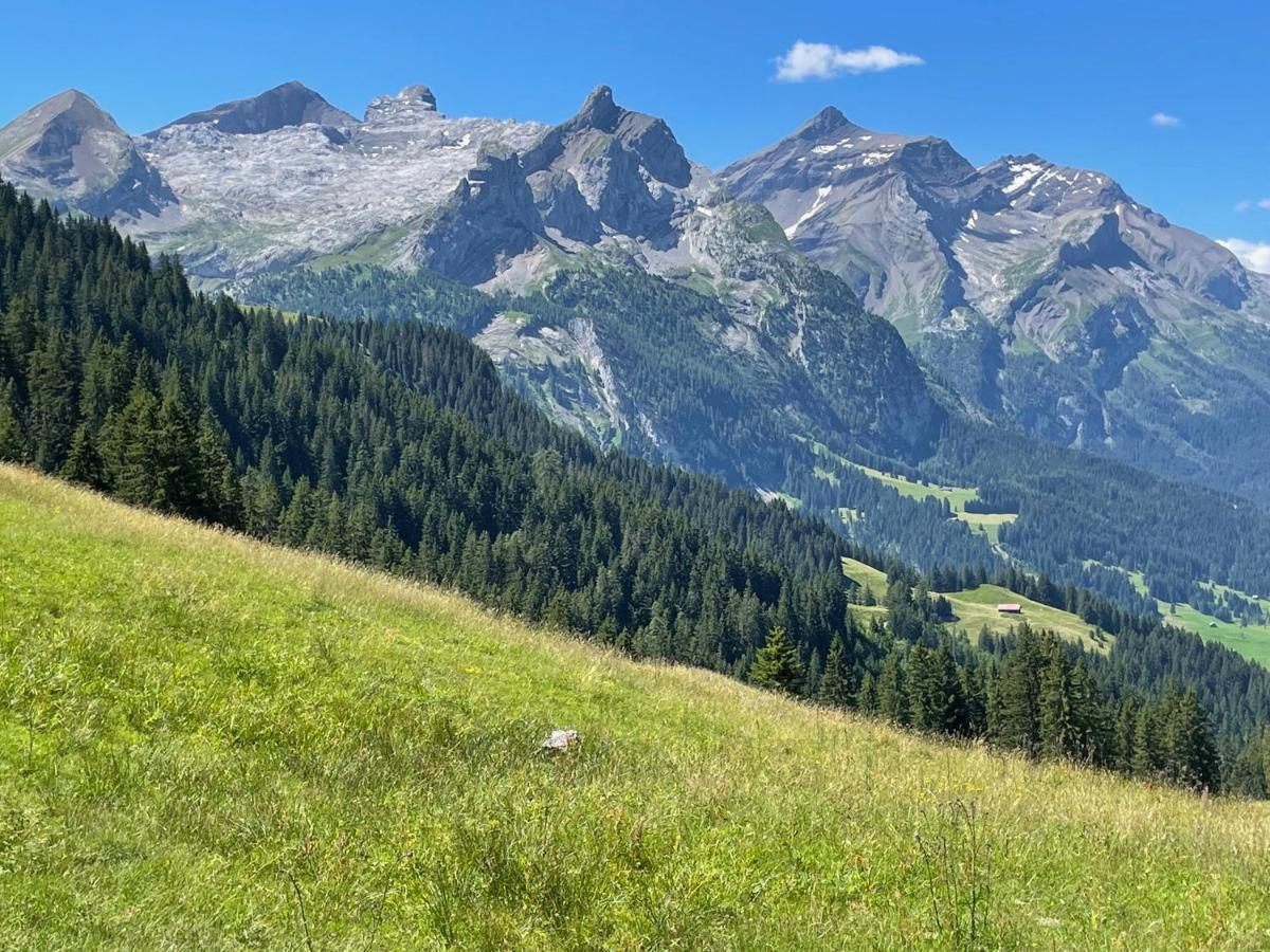 Alpen Charme - Chalet D'Hotes Et Spa Gsteig Eksteriør bilde